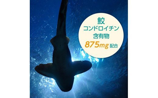 E-25　[ファイン]鮫軟骨エキス　２個セット